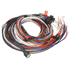 MoTeC M84 Basic Harness 10' Unterminated.