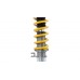 Ohlins Road & Track DFV Coilover Kit - 1998-2012 Porsche Boxster